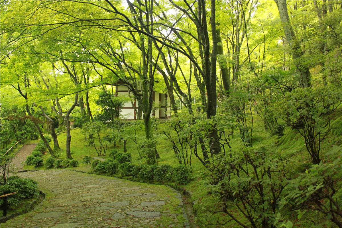 常寂光寺内庭园