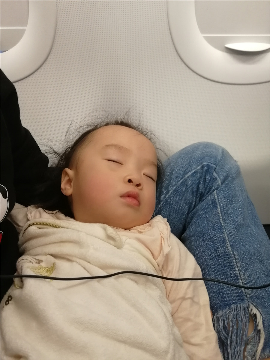 桃子在飞机上睡觉