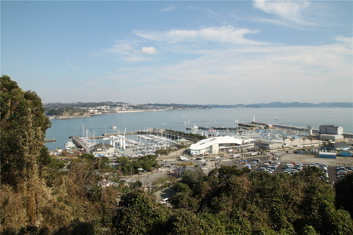 湘南海岸和奥运场地