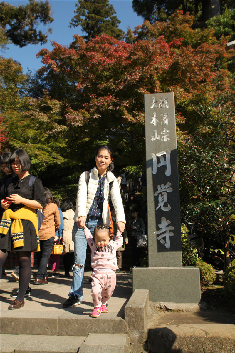 桃子在圆觉寺