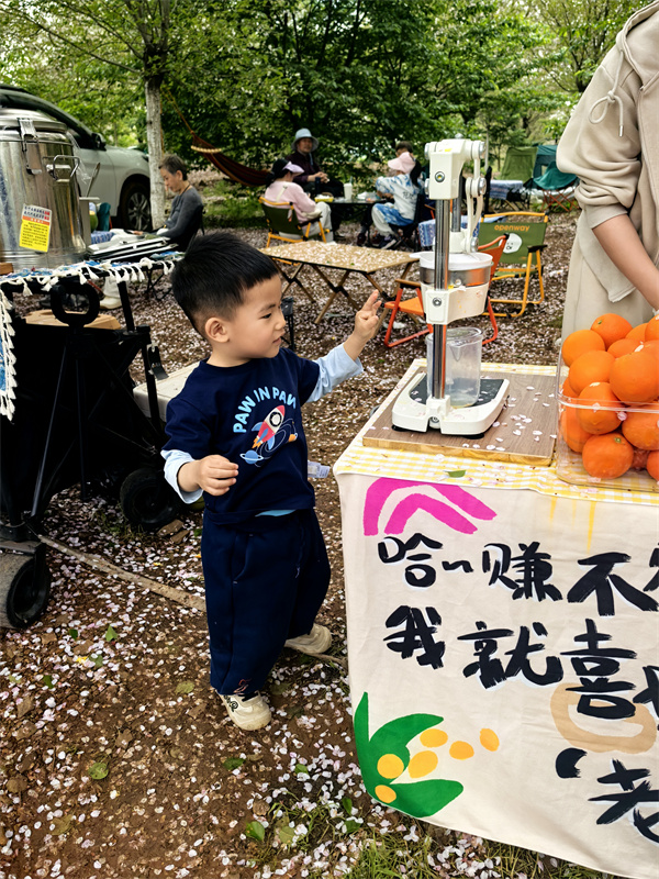 叮当在猪娘岭1
