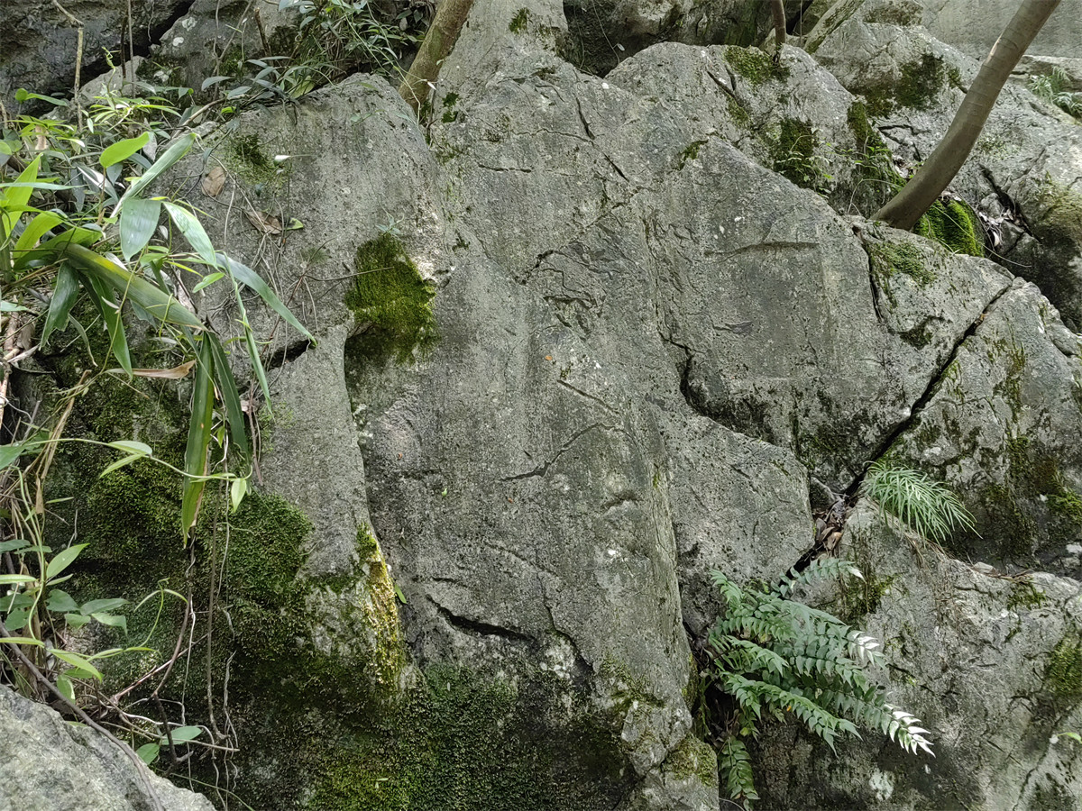 司马池等题名1