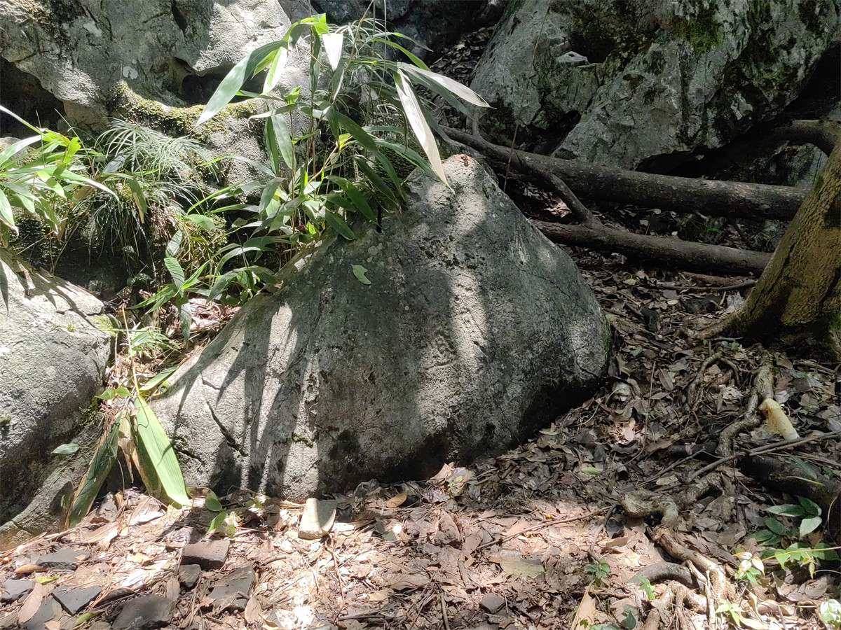 苏温雅等题名1
