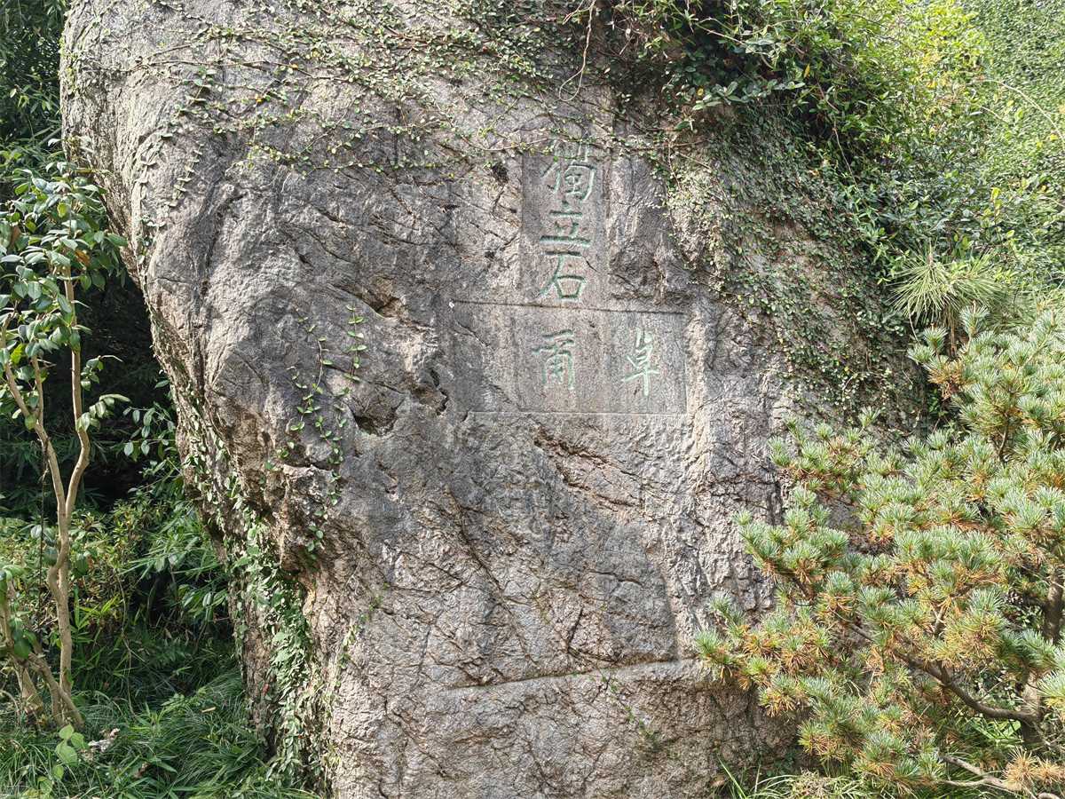 卓尔1