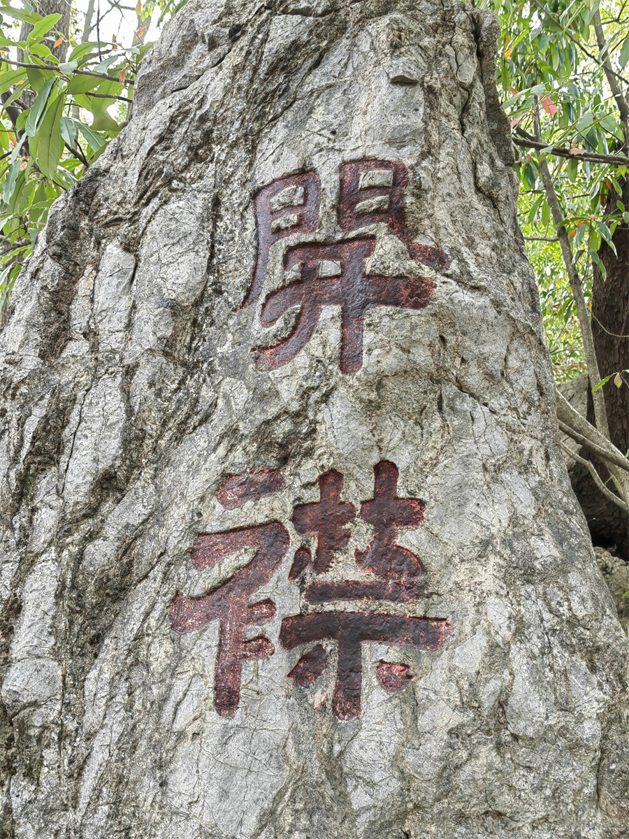 开襟2
