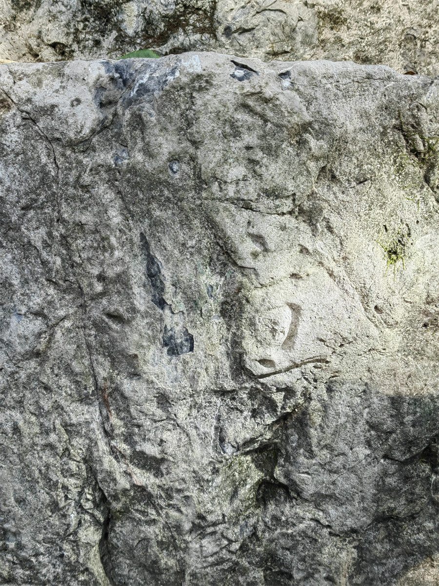 万文胜祷雨题名3