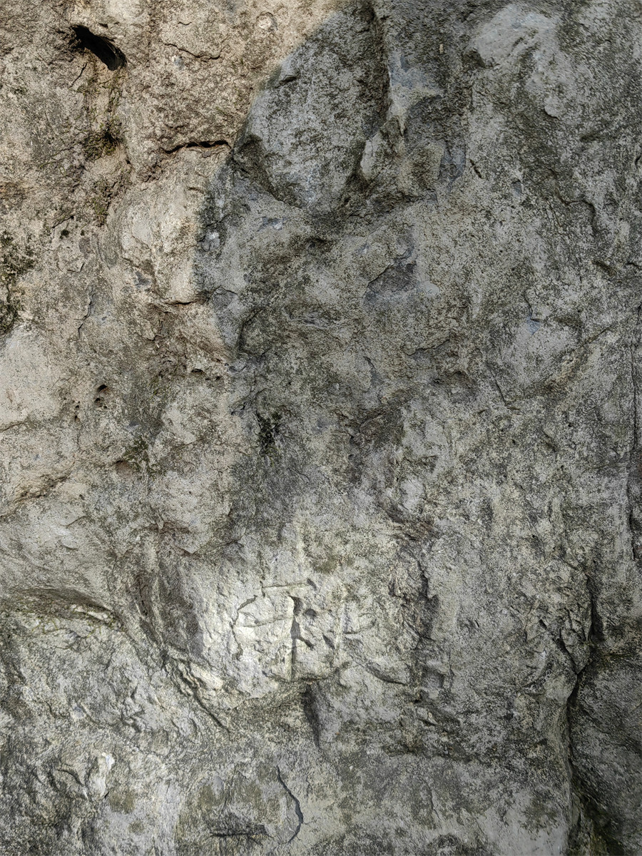 万文胜祷雨题名4