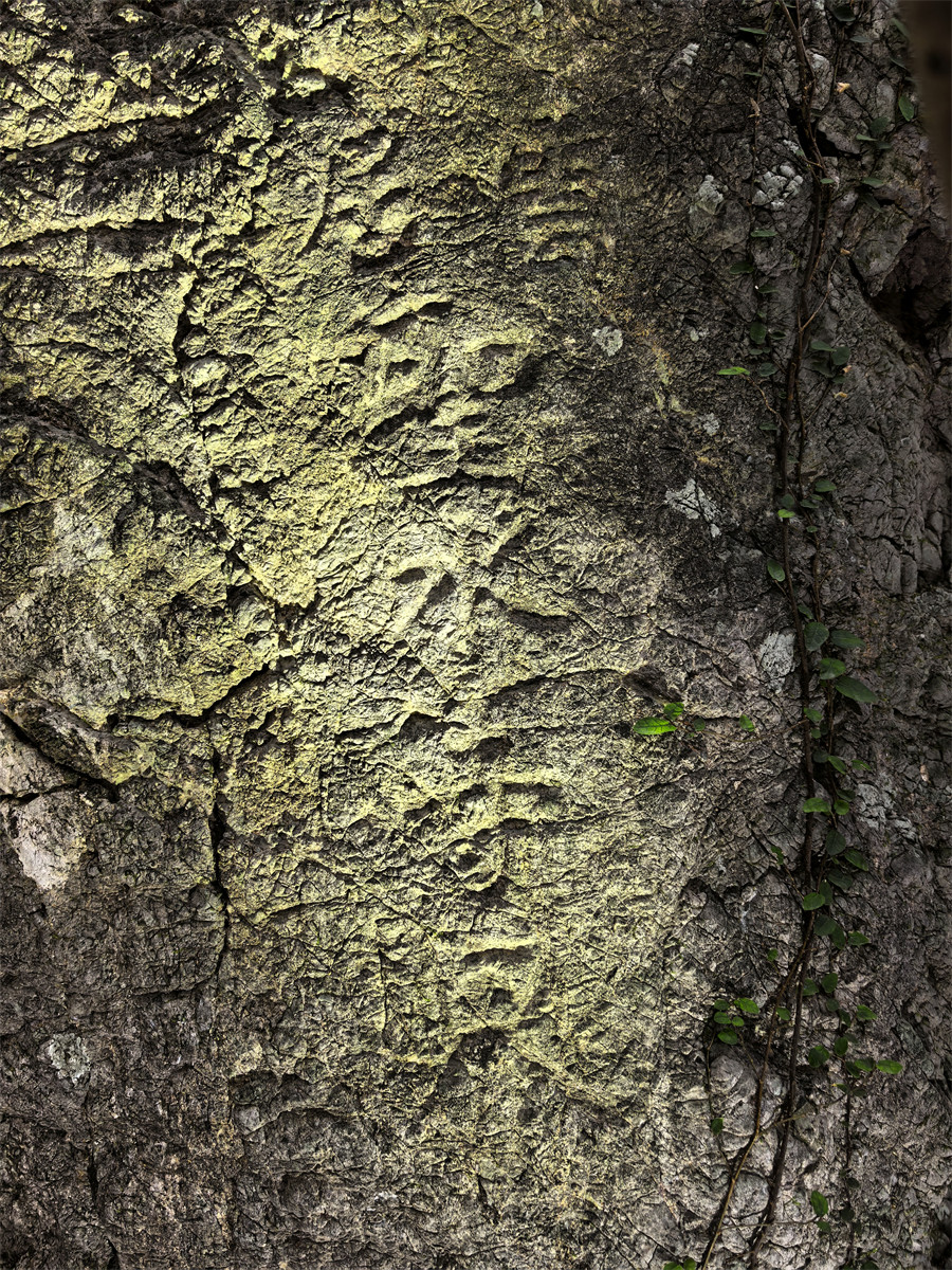 云居圣水寺界（东）2