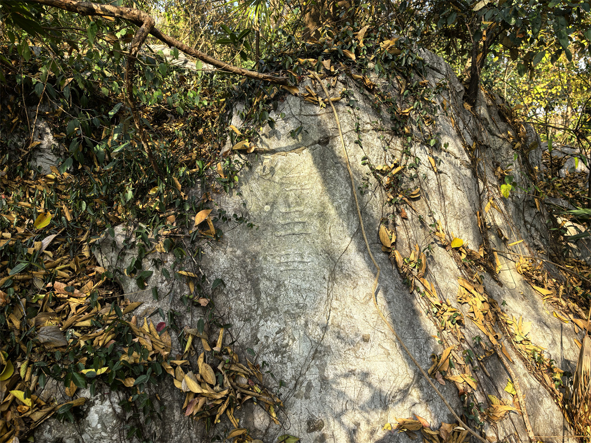 仁王寺界（北）1