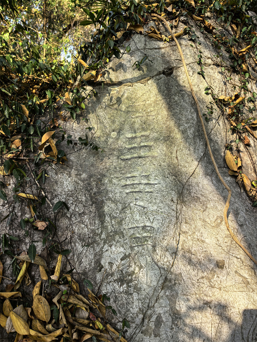 仁王寺界（北）2