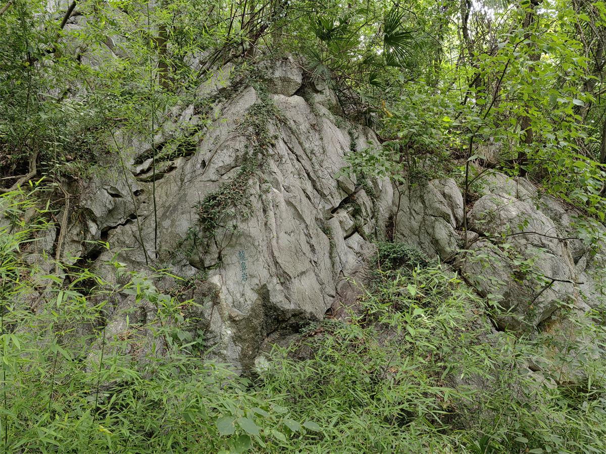 龙鼻岩1