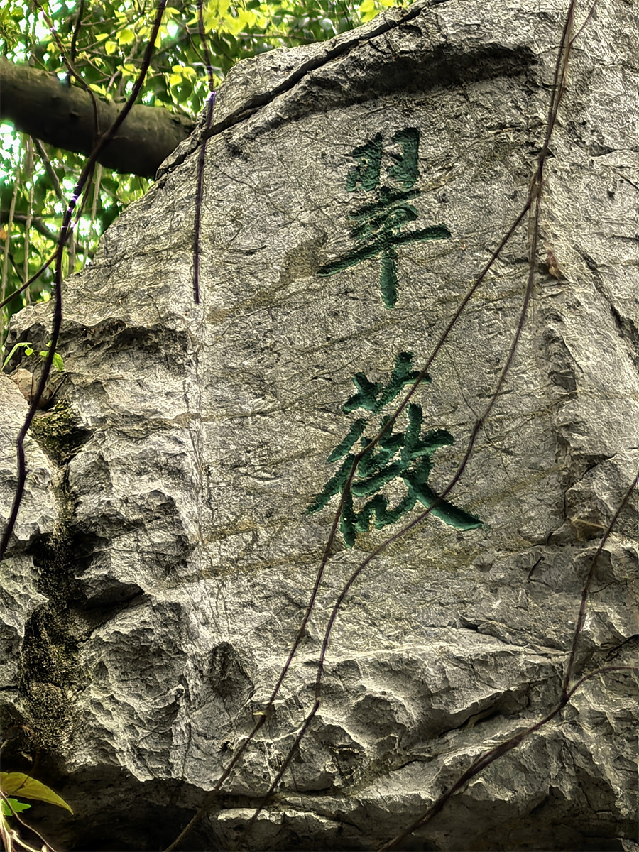翠薇2