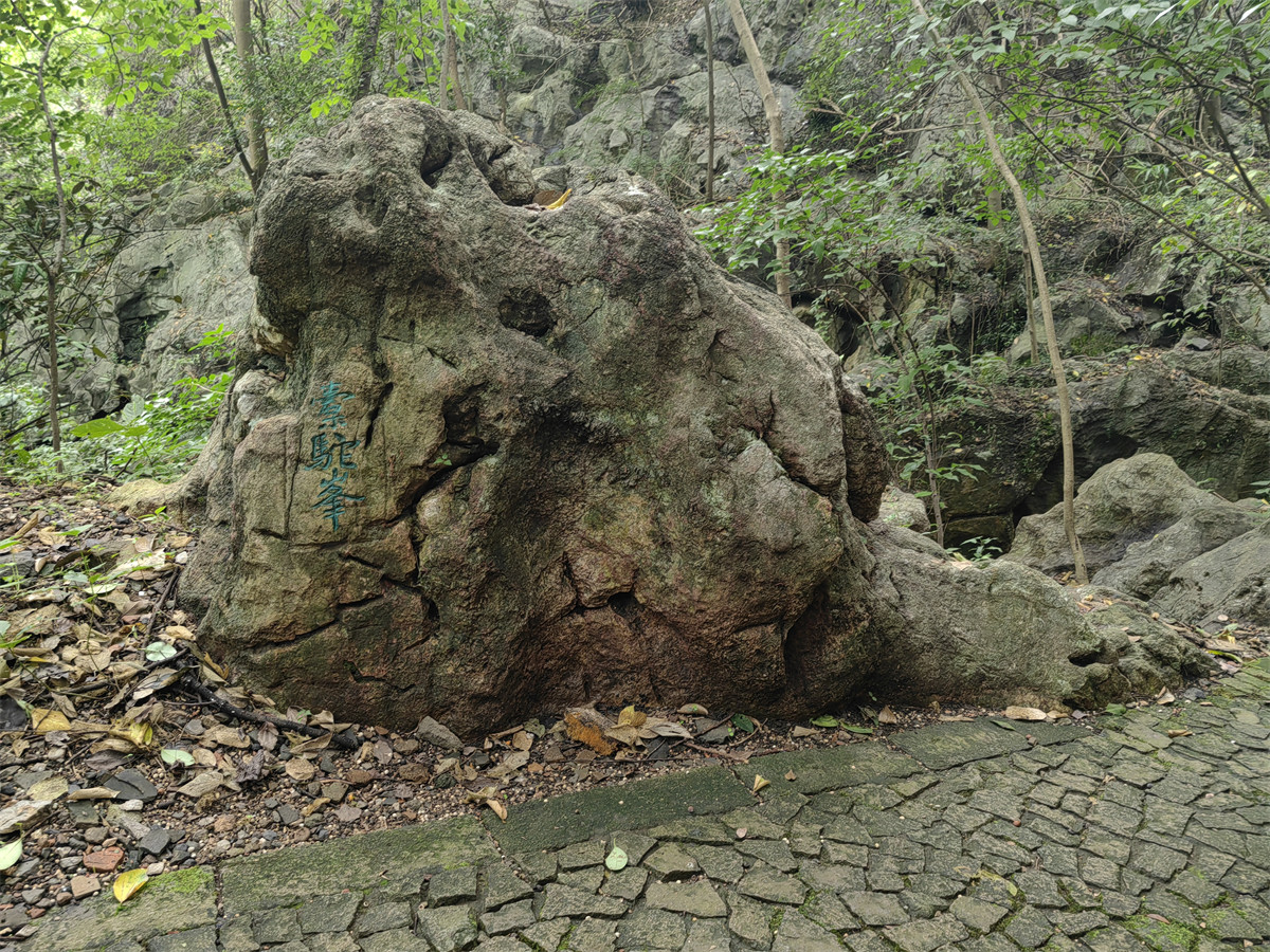 橐驼峰1