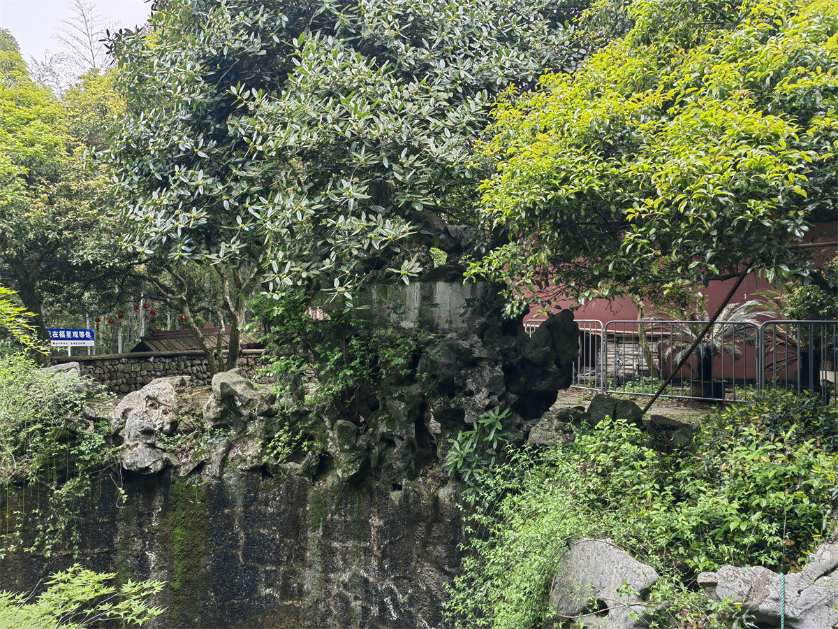 天一池1