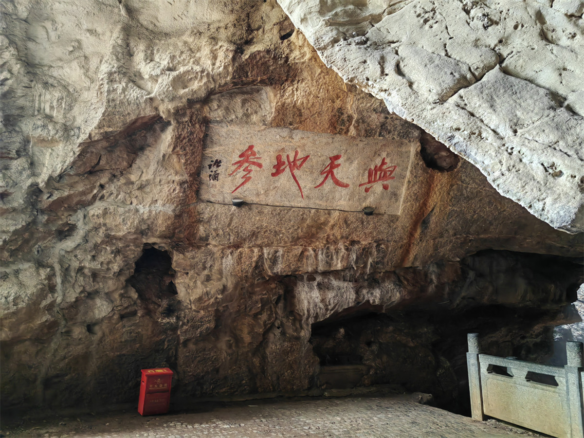 与天地参1