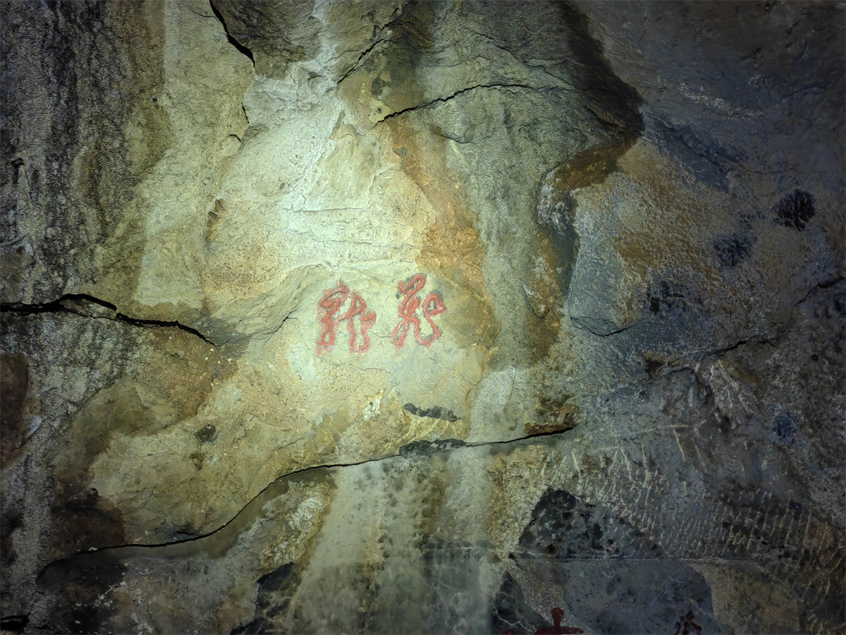 飞龙1