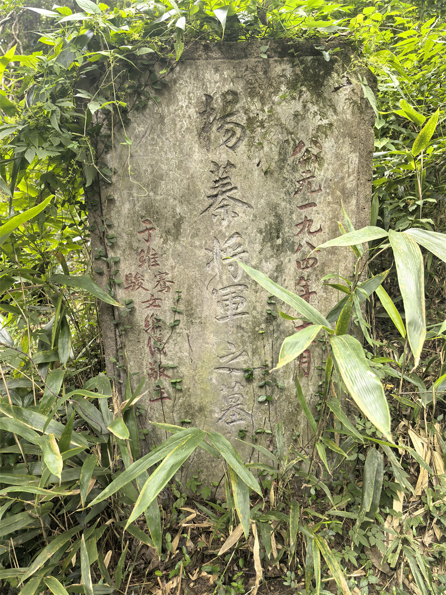 杨蓁墓碑