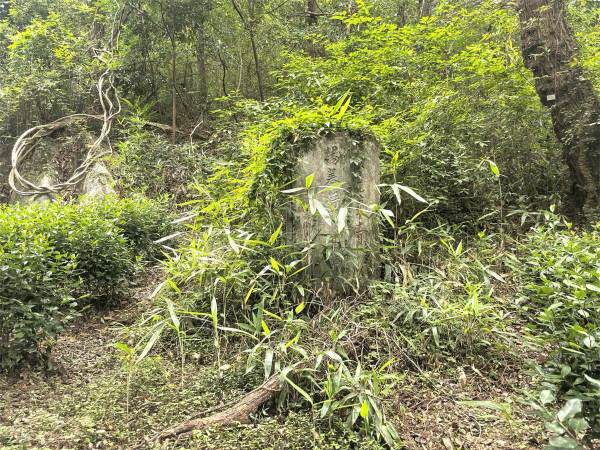 杨蓁墓全景