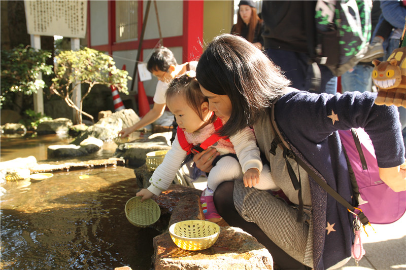 桃子在江岛神社