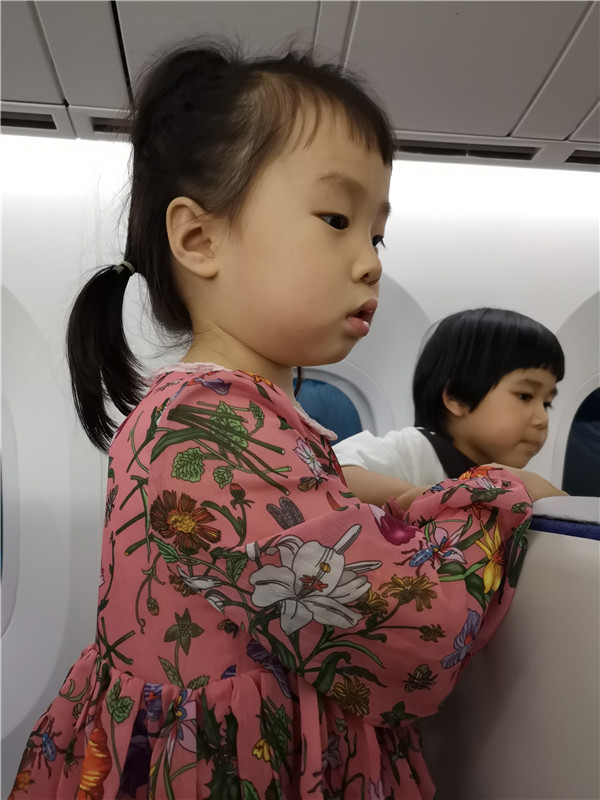 桃子在飞机上