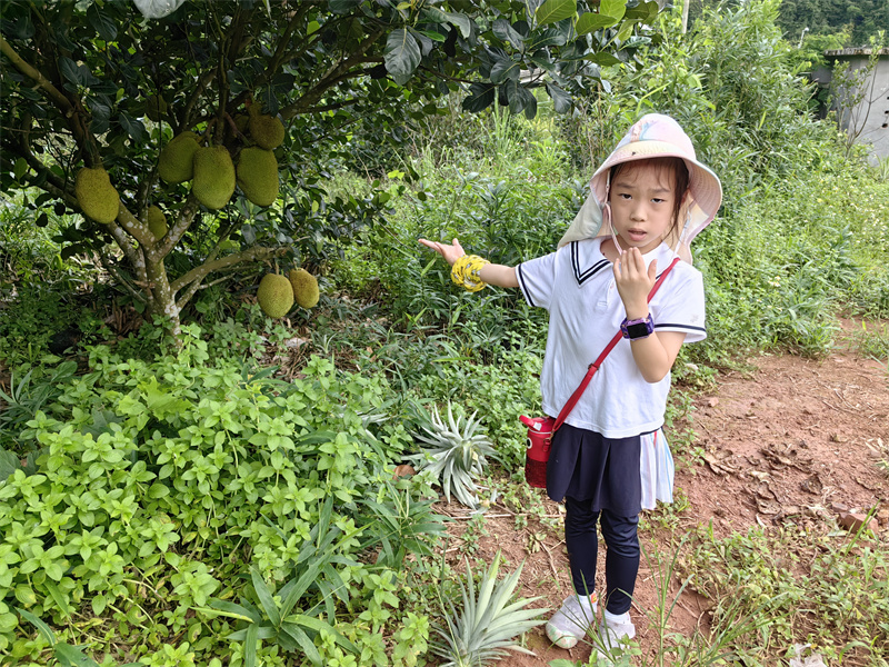 发现榴莲