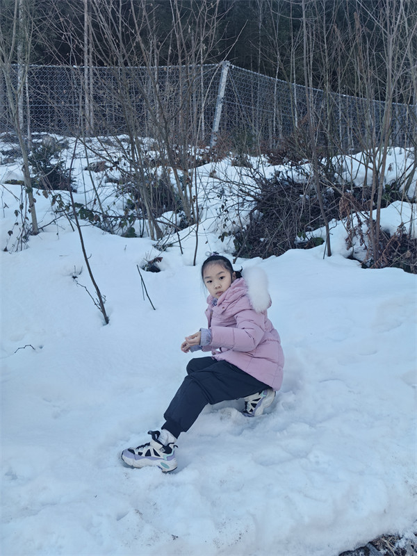 桃子在雪地