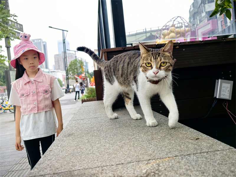 桃子和猫咪