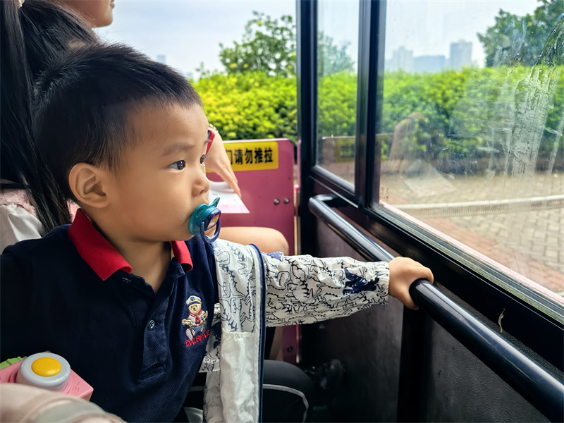 叮当坐小火车