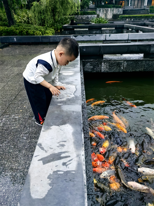 叮当喂鱼